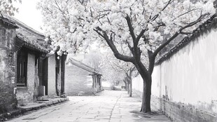 古巷繁花 静谧岁月之景