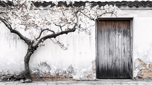 古墙木门旁的繁花老树