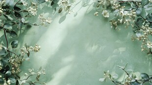淡绿背景上的素雅花枝