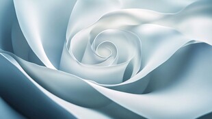 梦幻蓝白螺旋玫瑰纹理