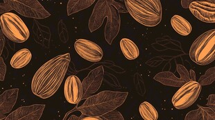 手绘坚果与叶片图案背景