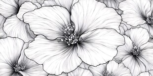黑白花卉图案纹理