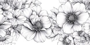 黑白花卉图案线条艺术美
