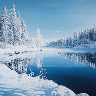 冬日静谧雪景河流森林