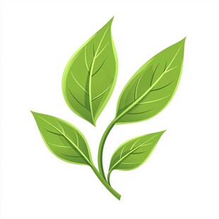 清新绿叶植物插画