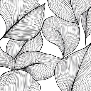 黑白线条绘就的优美叶片
