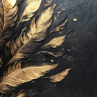 黑金羽毛 奢华质感艺术呈现