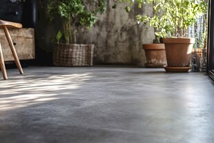 室内水泥地面与绿植景致