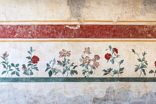 古典花卉墙绘艺术图案