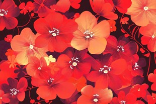 热烈红花图案背景