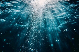 深海之光 气泡梦幻景象