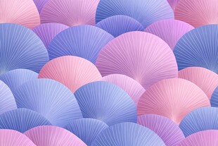 梦幻渐变折扇图案背景