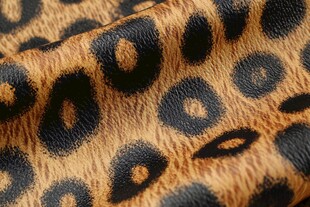 豹纹皮革纹理特写