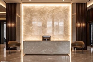现代豪华大理石风格接待区