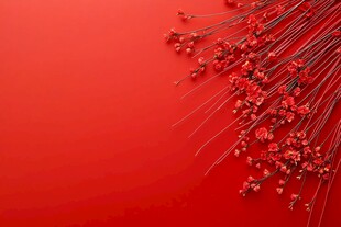 红色背景上的精致小红花