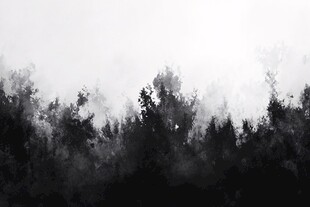 水墨山林意境图