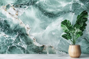 绿纹大理石墙前的绿植