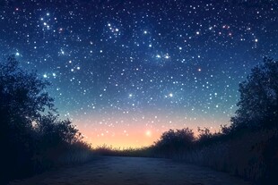 夜幕星空下的静谧林间小路