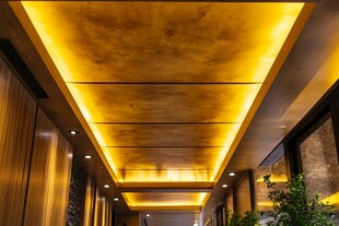 奢华暖光走廊天花板设计