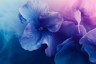 梦幻蓝紫花卉艺术特写