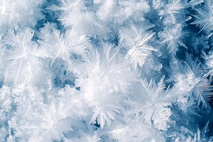 晶莹雪花微观之美