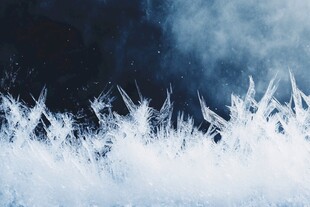 冬日窗上的精美冰花世界