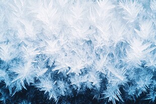 冬日窗上的绝美冰花