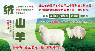 绒山羊