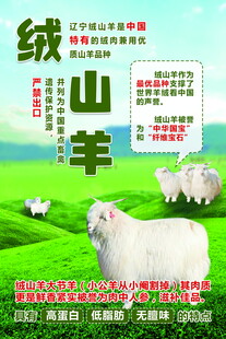 绒山羊
