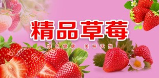 草莓
