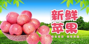 苹果