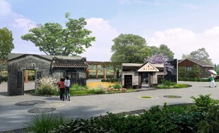 乡村景观改造