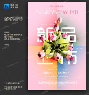 新品上市