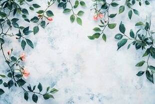 绿叶繁花装点素雅背景