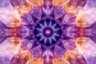 梦幻紫色花朵抽象艺术图案