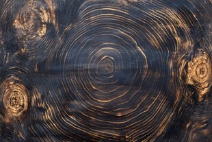 木纹年轮纹理特写