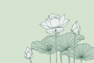 淡彩水墨风荷花插画