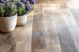 木质地板旁的紫色盆栽