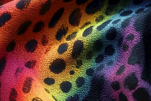 彩虹豹纹面料特写