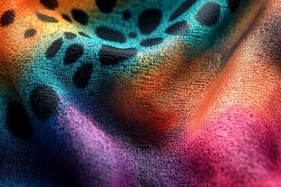 多彩豹纹织物特写