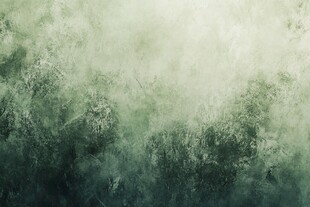 迷雾笼罩的森林景象