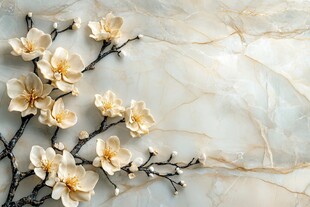 玉兰花枝装点大理石背景