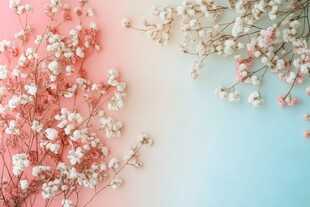 梦幻粉蓝背景的精致花束