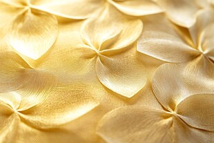 金色花瓣纹理装饰图案