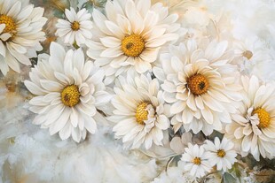 白色雏菊簇拥的美丽景致