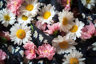 小雏菊与粉色花朵的布面图案