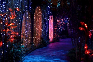 梦幻彩灯打造的浪漫小径