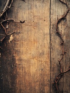 老旧木板上的枯藤缠绕