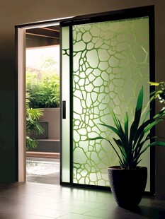 绿色花纹玻璃推拉门设计