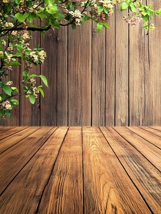 木质地板与繁花绿植背景